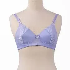 Belleza L.Pad Non Wire Bra 128