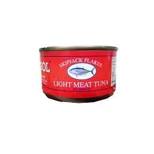 Delesol Tuna In Brine 160G