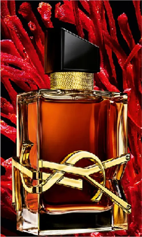 Perfume OIL Libre Le Parfum W French Ysl Expression 6ML