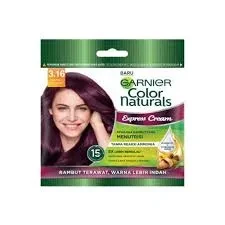 Garnier Color Sachet 3.16