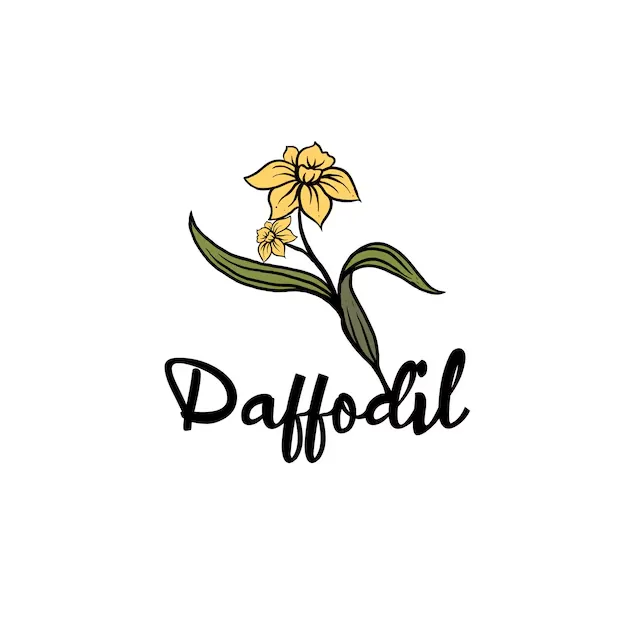 Daffodils