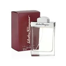 Salvatore Ferragamo Eau De Toilette Pour Homme 100ML