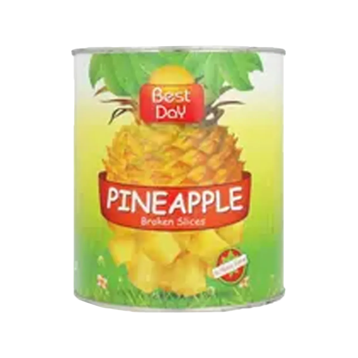 Best Day Pineapple Broken Slices In Syrup 535G