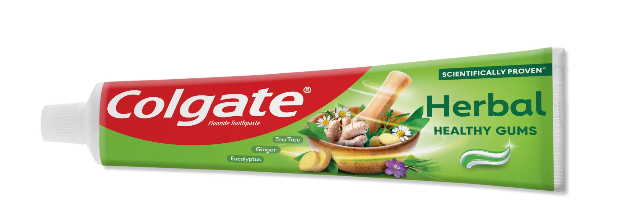 Colgate Toothpaste Herbal Healthy Gums 100G