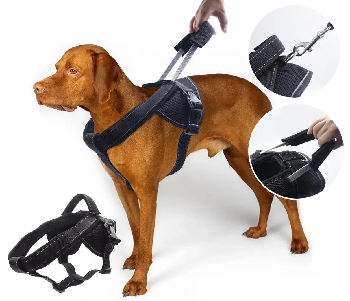 Pets Harness P338 Xlarge