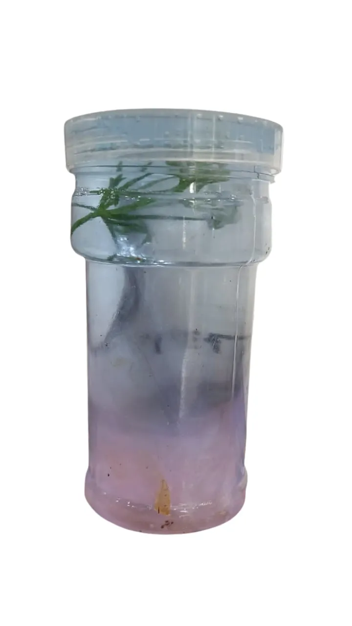 Baby Toy Slime Cartoon 8734